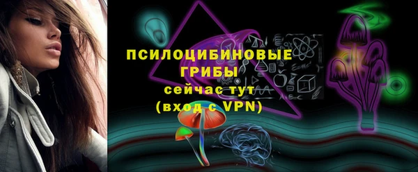 mdpv Белокуриха