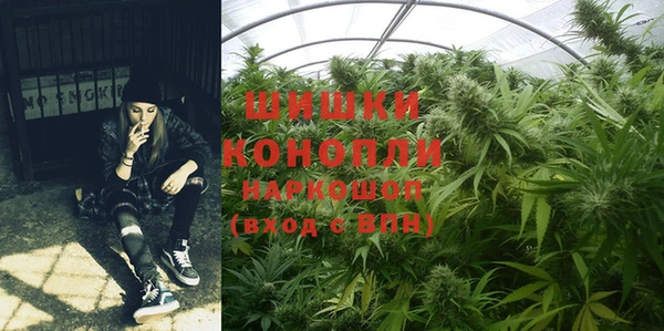 mdpv Белокуриха